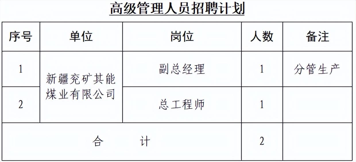 “职”等你来山东能源集团权属企业招聘副总与总工程师-全资子公司经理待遇