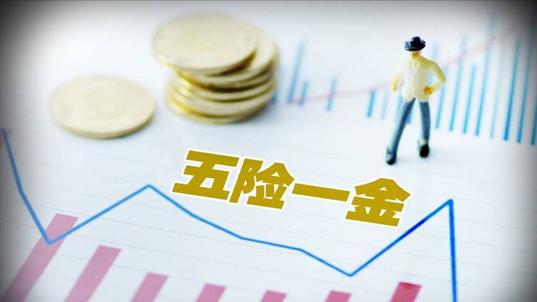 2023社保大变化：五险一金变七险两金！事关你的医保、养老金…-一次性买断养老保险多少钱