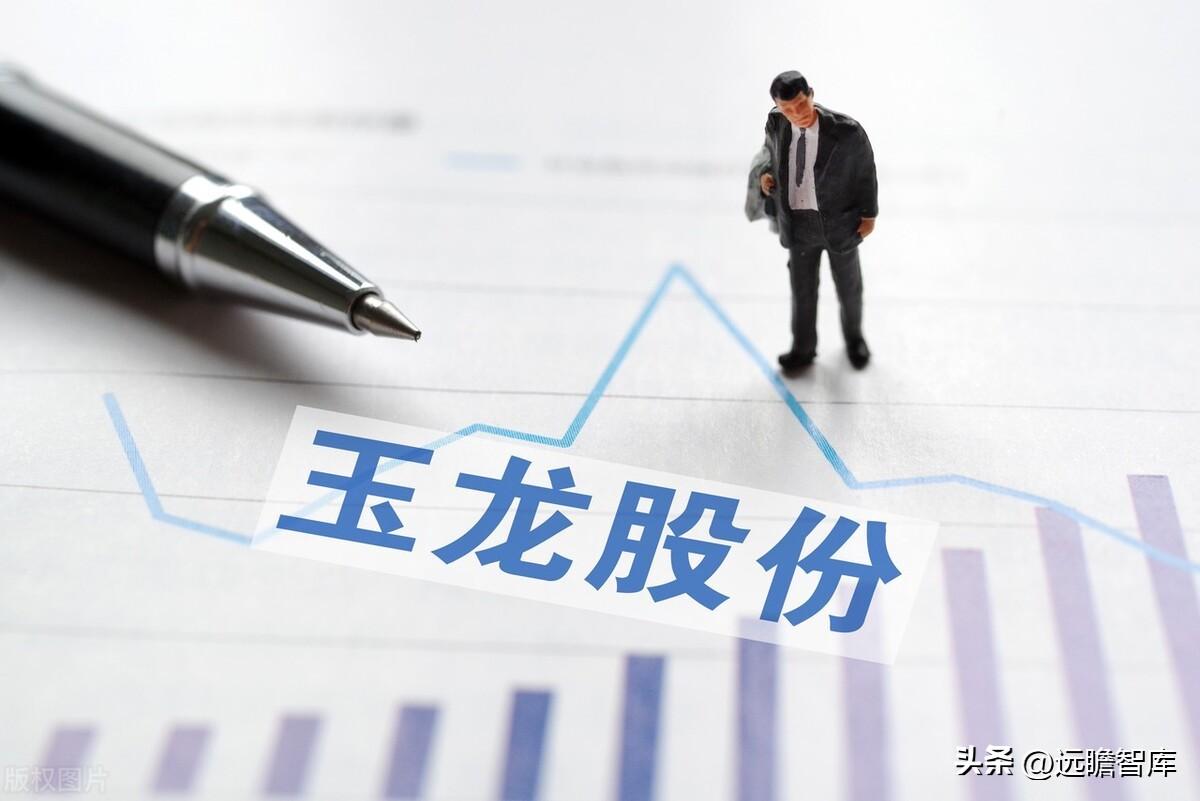 变更国企控股，玉龙股份：坐拥石墨矿、勘探锂矿，开启矿业新篇章-股东借钱出资上市公司