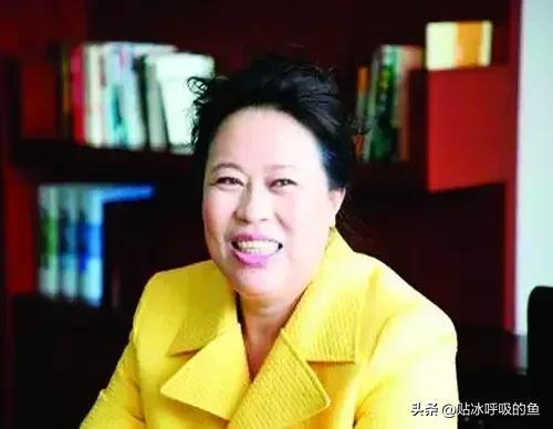 【推荐】刘志军的金主丁书苗是何许人也？-丁书苗名下究竟有多少资产