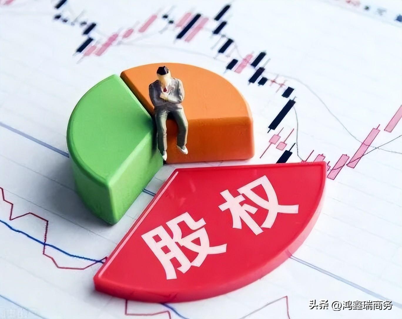 【推荐】公司股东持股比例131020345167对应的权利如何查询公司股东持股比例