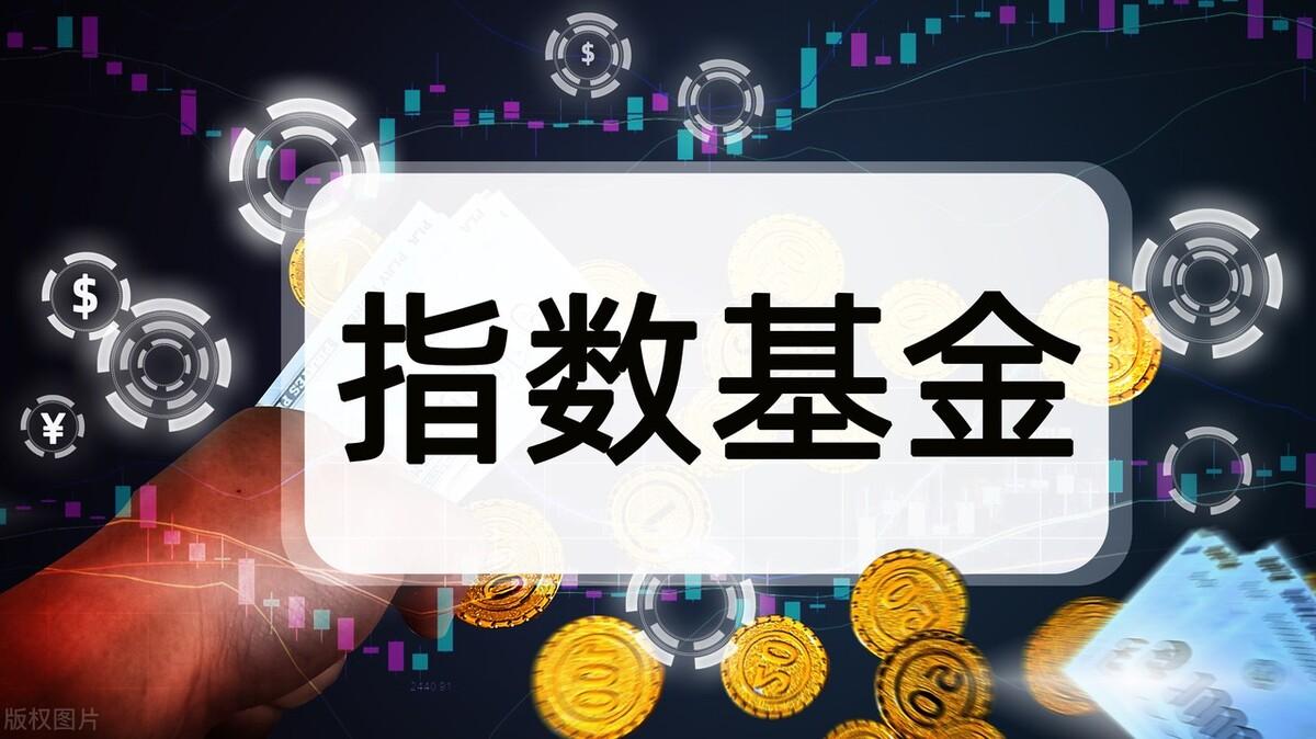 上证指数基金和标普500指数基金，长期投资哪个更赚钱？-大盘股指基金