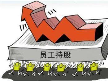 强盛财富集团：公司股权如何越分越多-商业财富控股有限公司