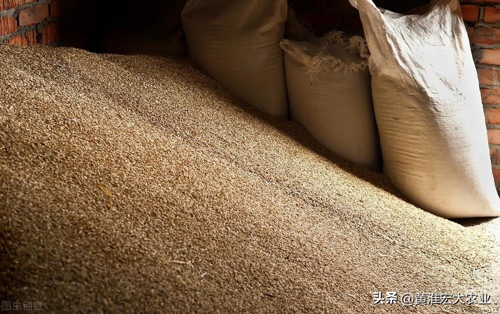 2023年小麦最低收购价公布，为何提前半个多月公布？有何意义-小麦最低能落到多少钱