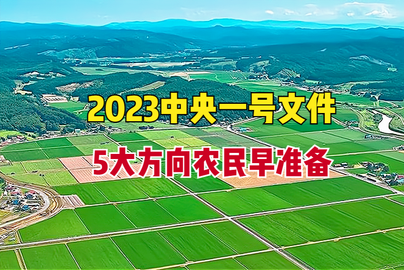 2023年一号文件：粮食产量超1.3万亿斤，该怎么种？5大方向早准备-全国稻产量是多少