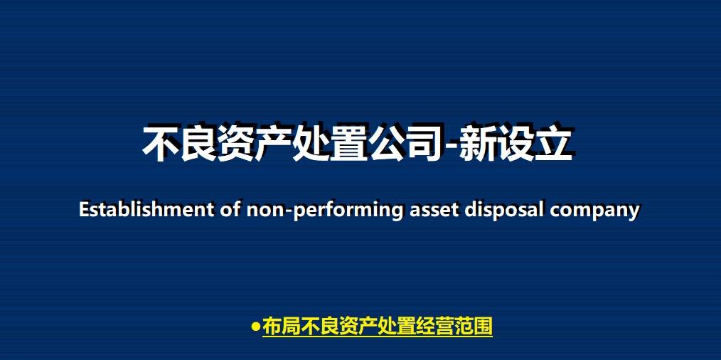 “不良资产处置”公司设立-金融公司四个字名字