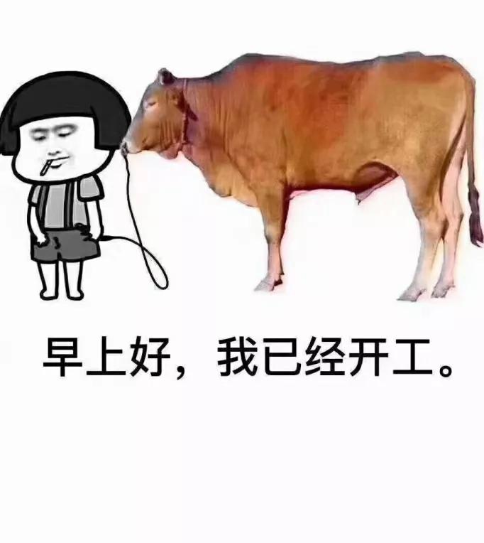 工资不够用，有什么副业可以做？