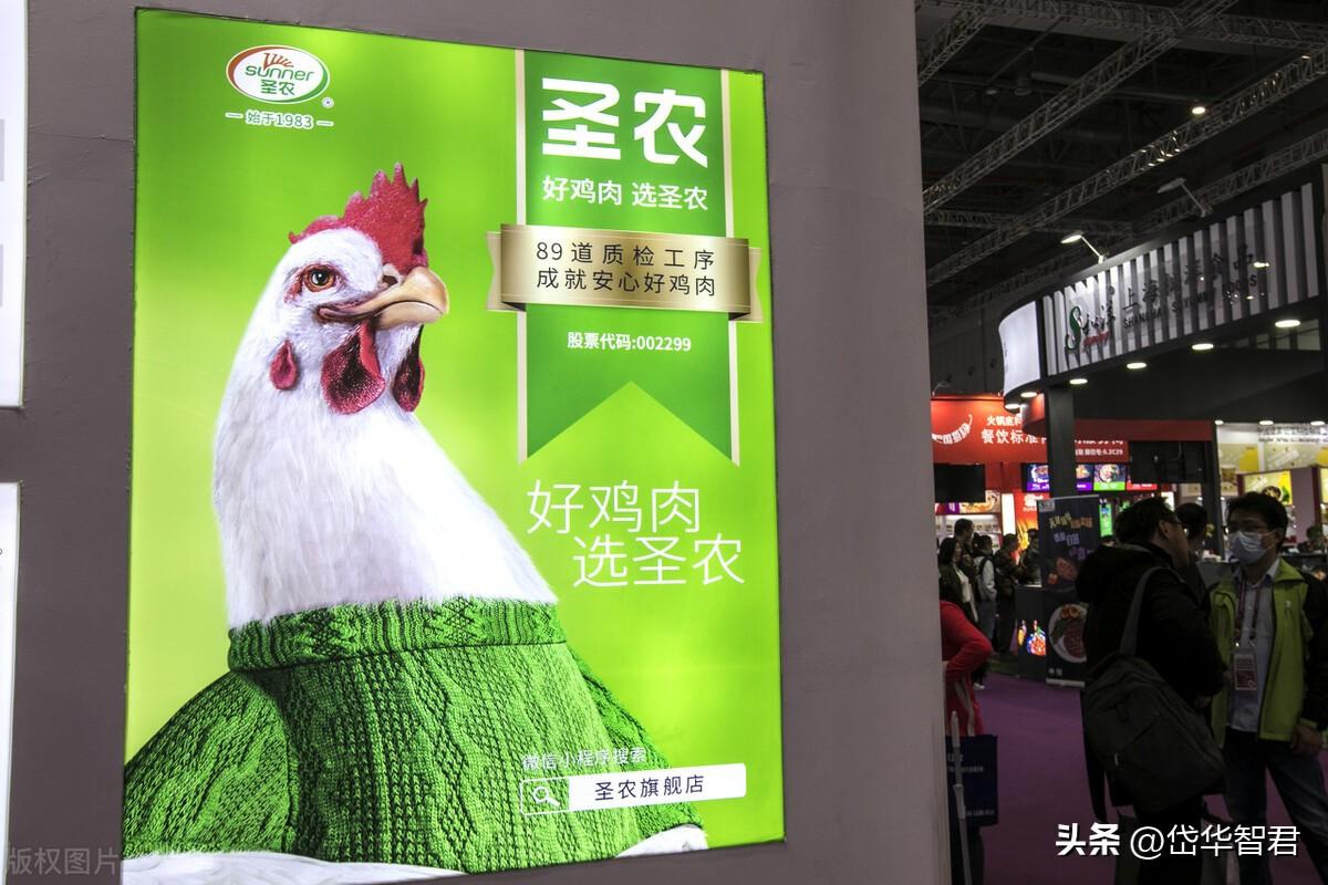 白羽鸡全产业链龙头，圣农发展：种源与食品齐发力，静待周期上行-圣农食品有限公司