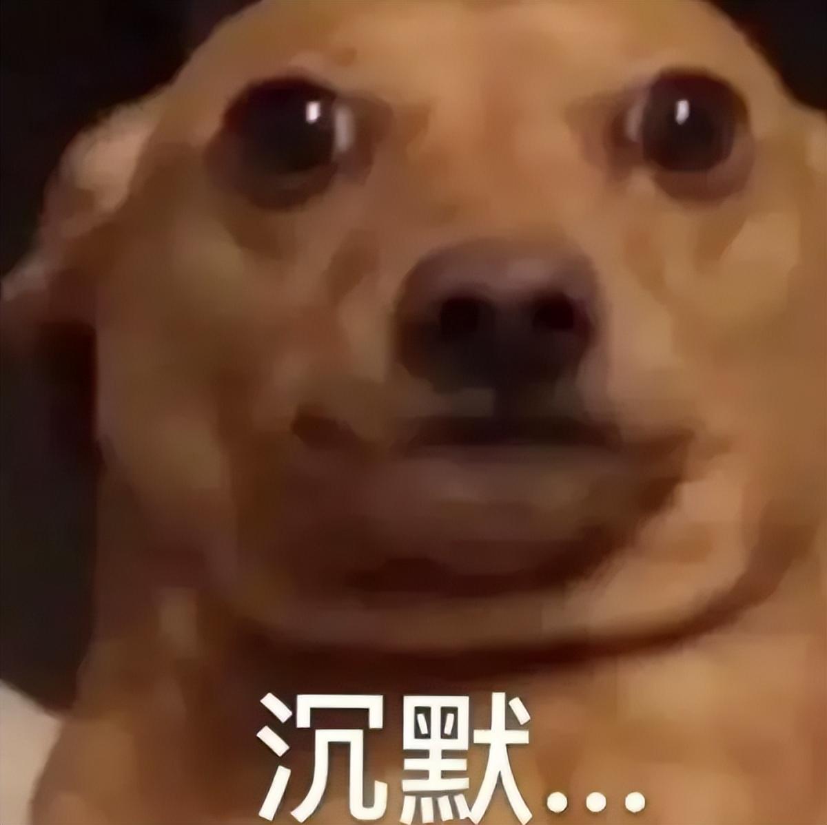 交完钱，车已经“撞”好了？！-信用卡分期12期手续费多少