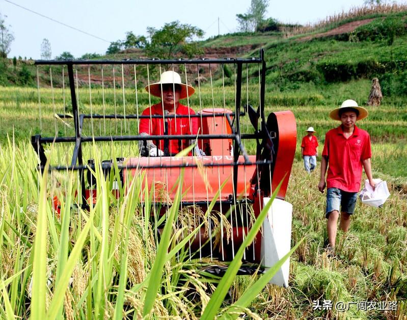 1公斤水稻收割机，重庆鑫源vs湘源金穗，最新机型配置对比-华源凯马股份有限公司