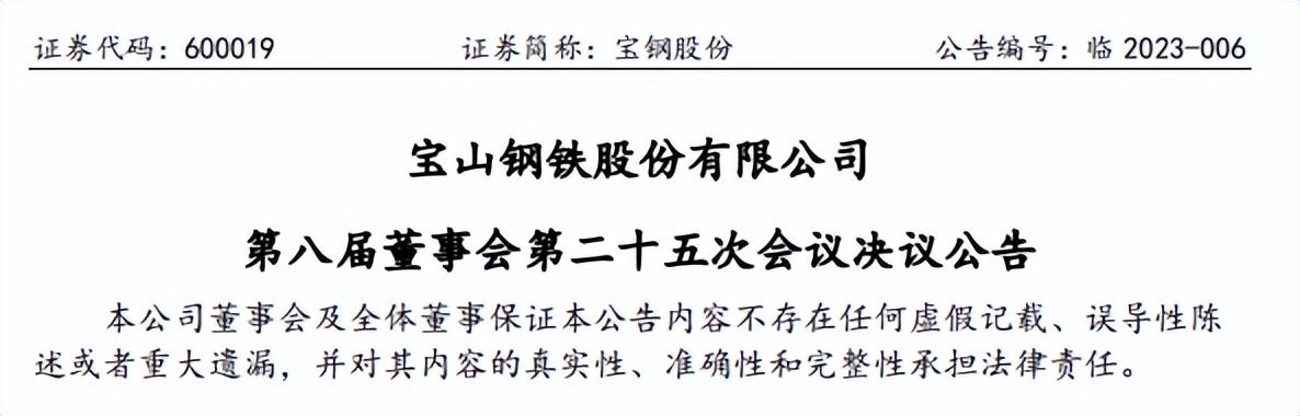宝钢股份：聘任王娟、刘宝军为公司副总经理-武钢集团财务公司