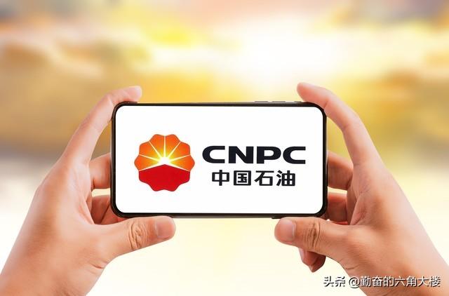 如果从07年到如今一直持有中国石油股票，到底会亏多少？你猜？-中国石油发行价是多少
