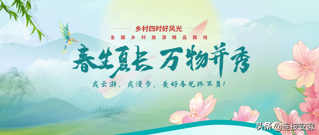安徽这3条“全国乡村旅游精品线路”，一起“认识”下吧！-古井846多少钱一瓶
