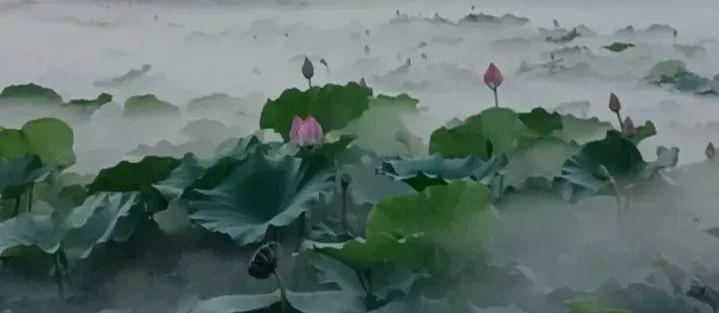 「千家诗会·211期」欲点青春无限爱，催开心梦一枝花-浙江雄盛实业有限公司