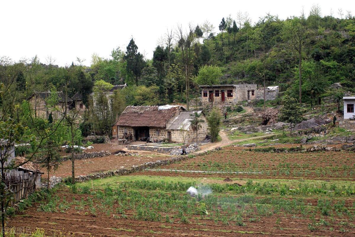 为什么农民穷，温铁军真是太敢说了，一番话让人大彻大悟。-最新中国人民农民占总人口多少