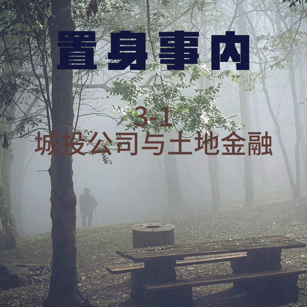 【推荐】3-1城投公司与土地金融-中国移动公司的金融结构