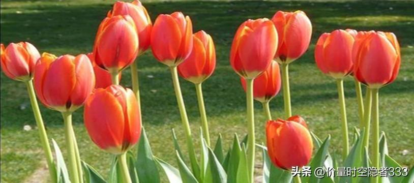 「原创」底部走强的板块逐渐多起来-股票低位天天发资讯