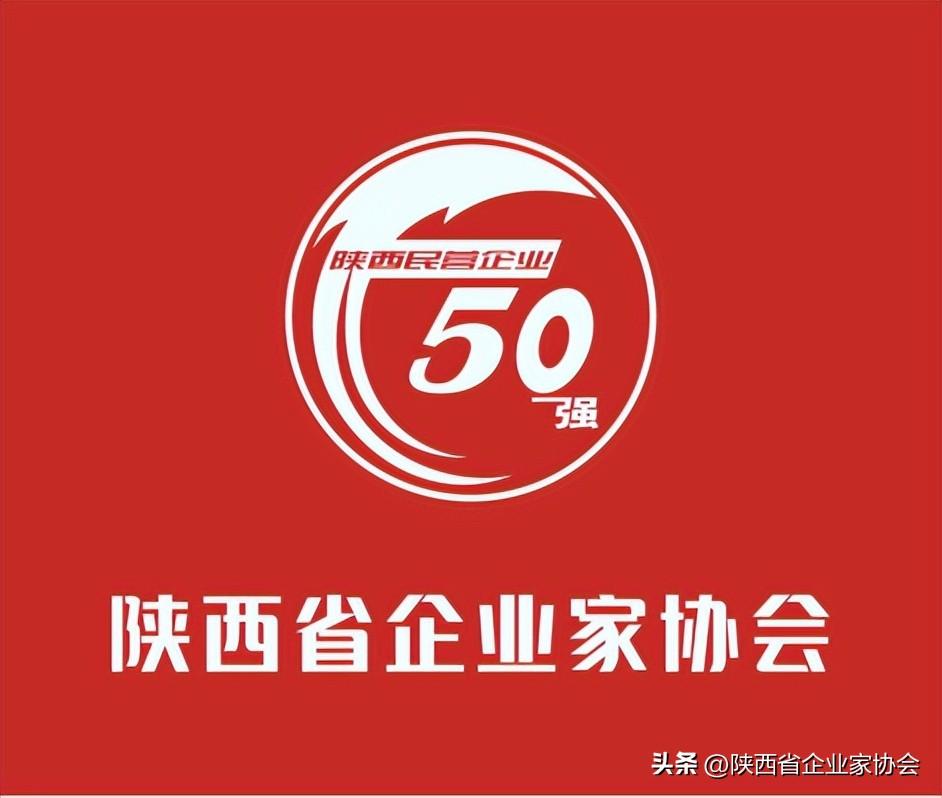 2022陕西民营50强企业排序——东岭集团股份有限公司-民营股份制有限公司股份协议