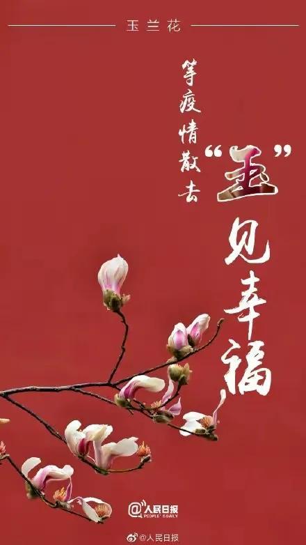 “三低”的好公司-兴蓉公司