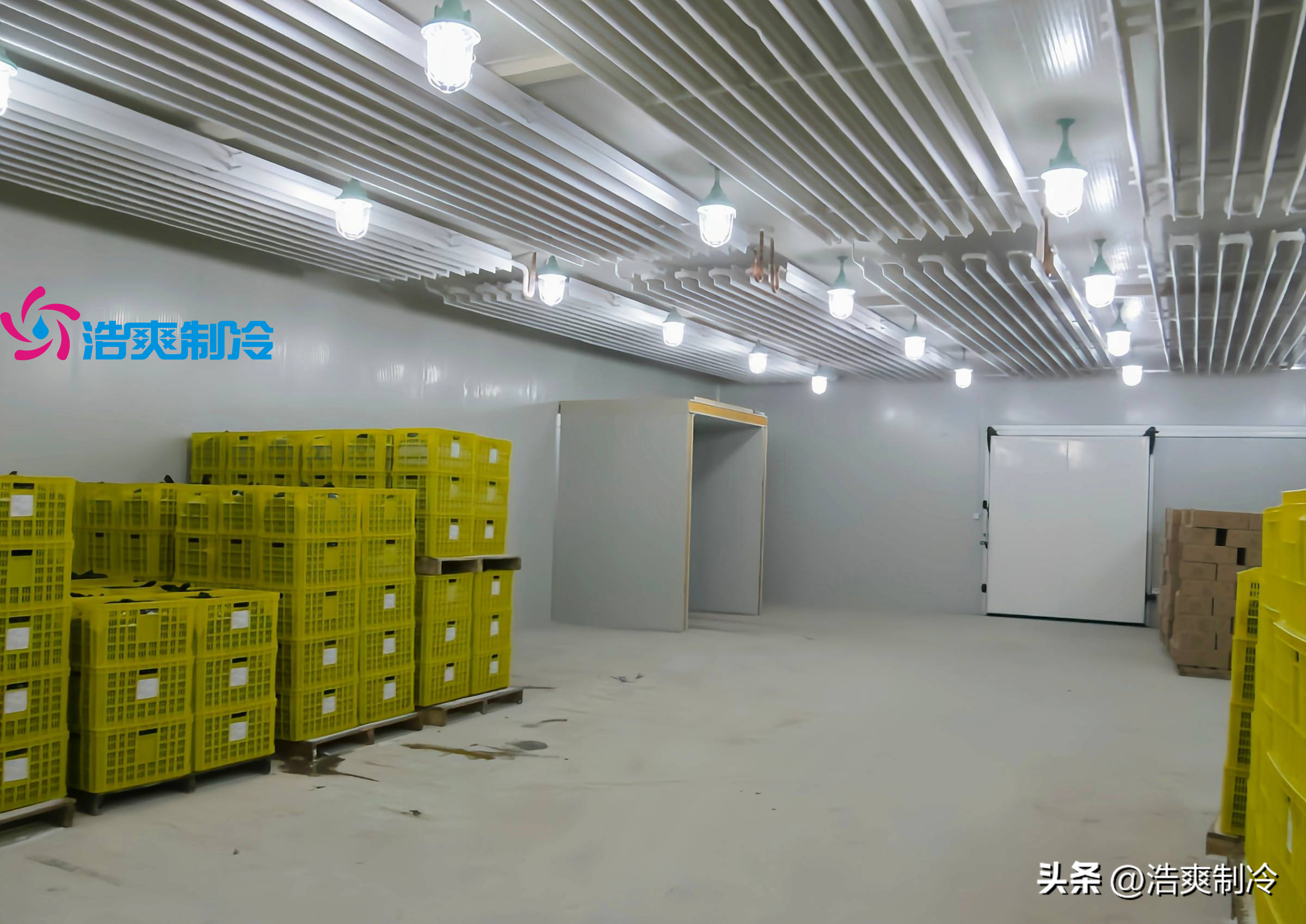 建造2000吨食品加工冷库的造价-冷连投资大概多少钱