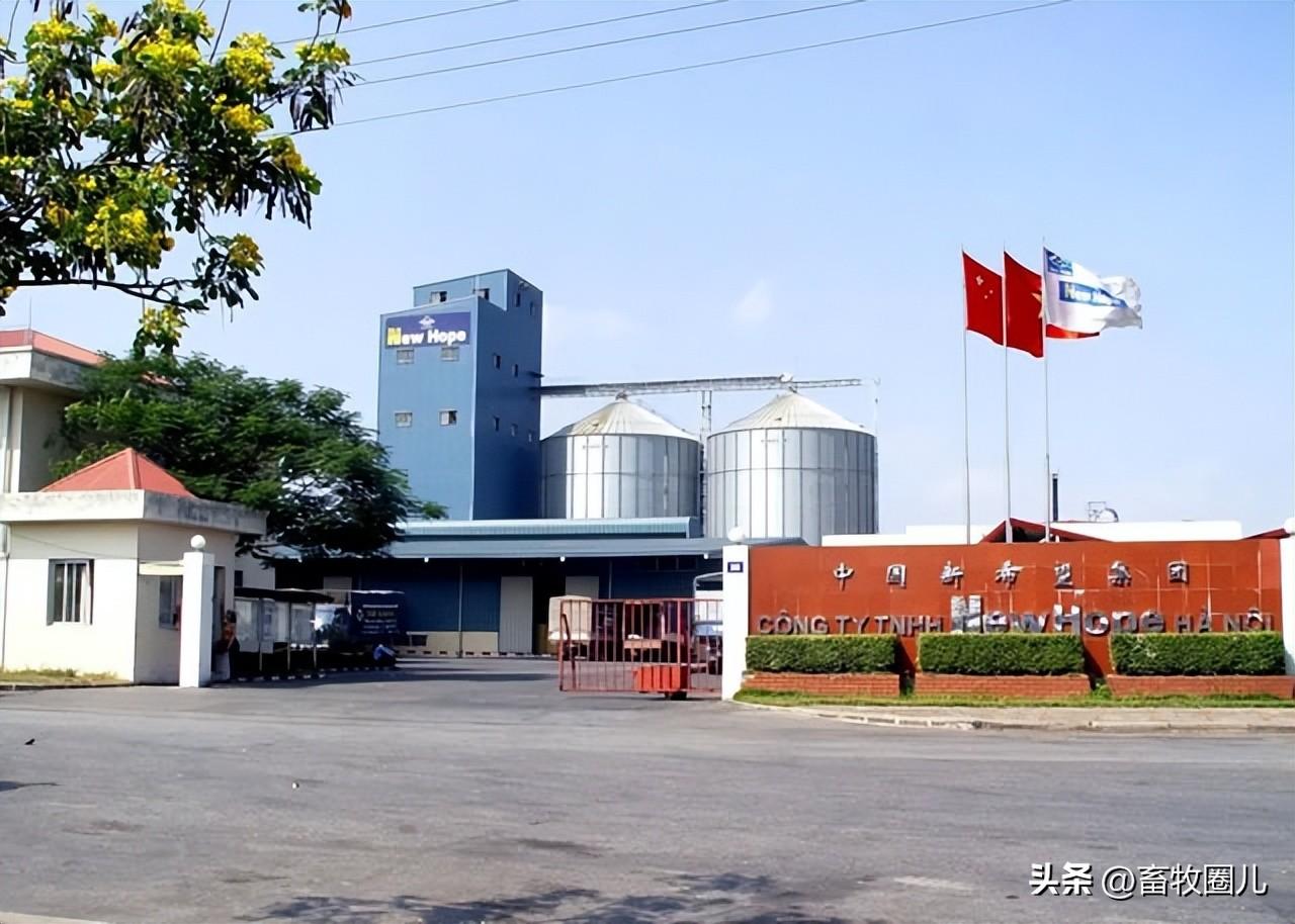 「新希望·致敬40年系列」国际化布局打造世界级农牧企业-厚生基金