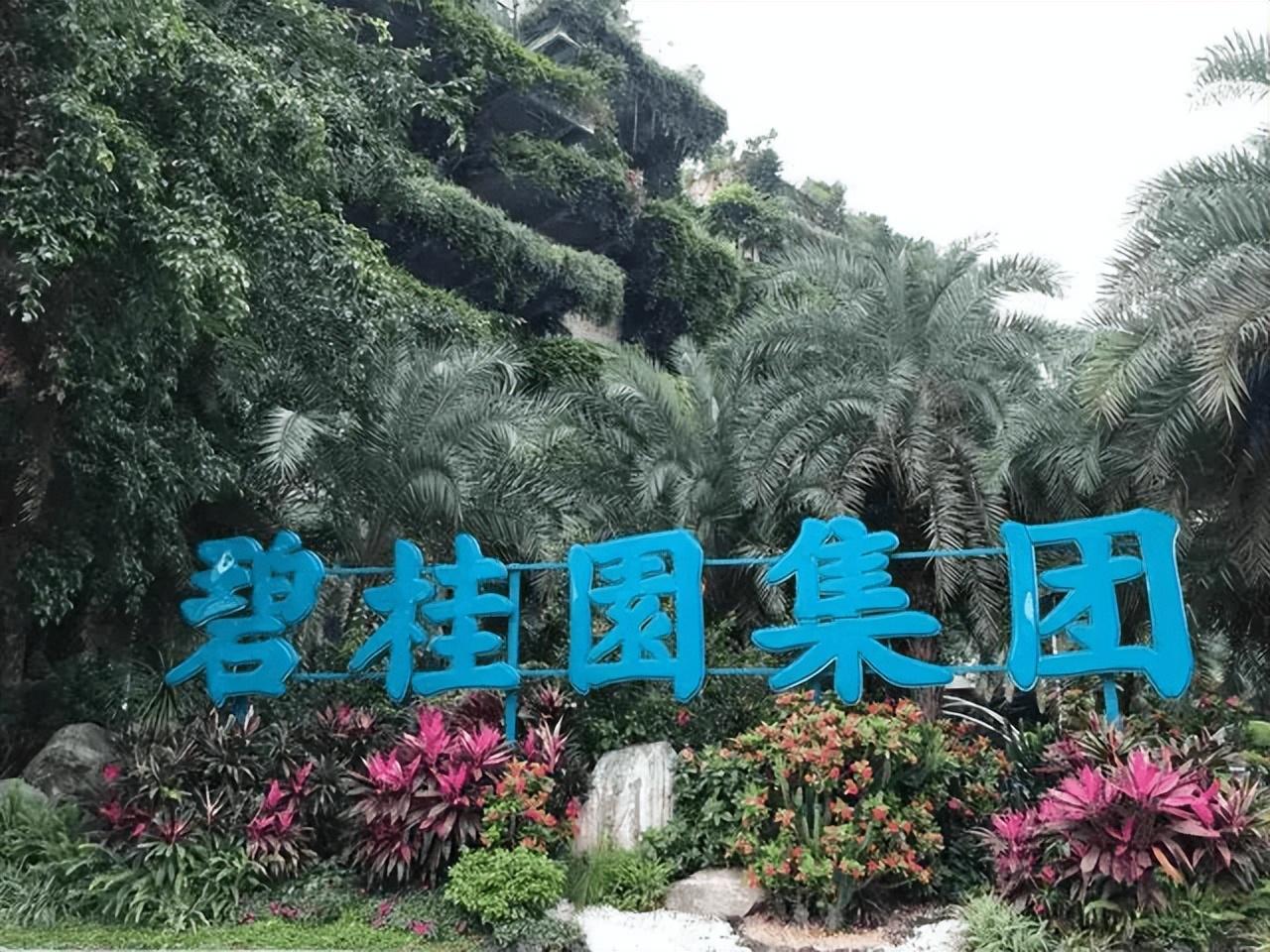 碧桂园艰难转型，压力给到了杨惠妍-上市房地产公司转型科技