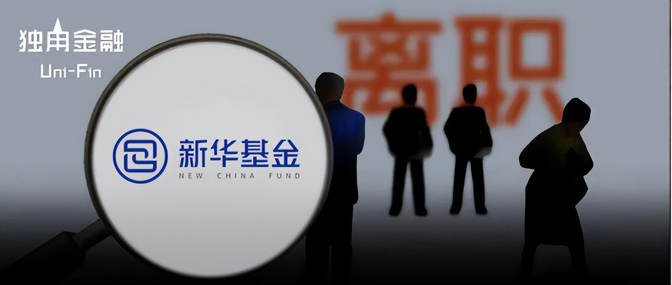 被强制执行11.7亿，涉嫌欺诈吃官司！新华基金如何打好“翻身”仗-新华投资基金