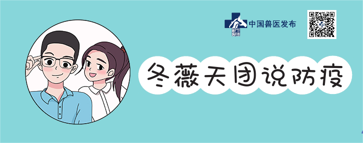 《“画”说动物防疫法》｜申报检疫-动物检疫收多少钱