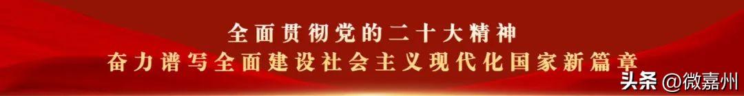 春节假期中心城区出租车、滴滴收费标准来了-滴滴公司收取多少费用