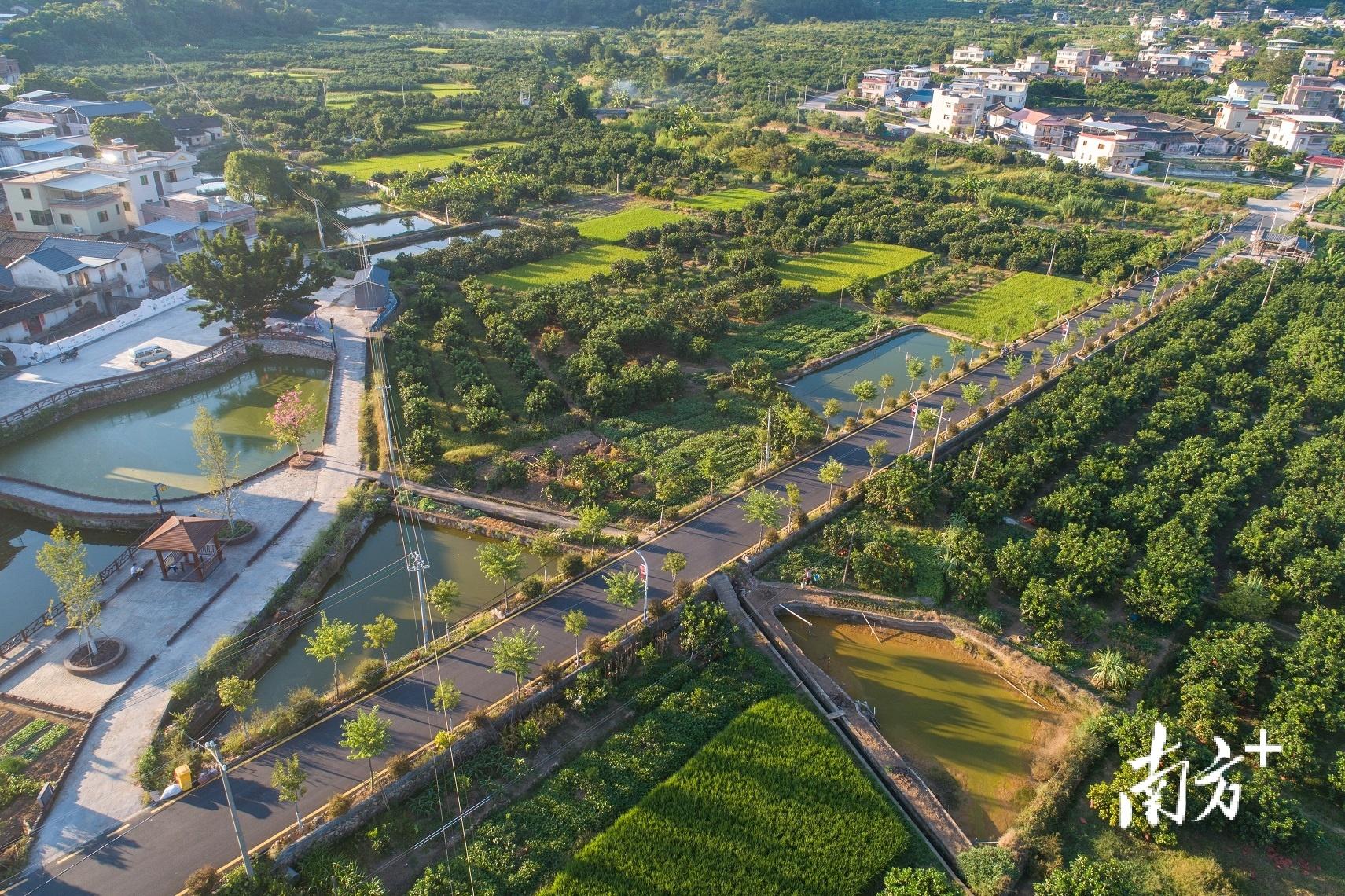 乡镇发展如何实现新突破？来看梅州石扇镇的答案-梅州市旅游总公司经营范围