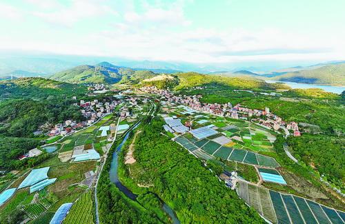 2021年“福建省乡村振兴热度指数”评价结果公布这个区为厦门唯一入选区-厦门振坤行商贸有限公司