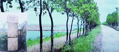 山魂海韵中的盐城史诗-江苏新大陆国际贸易有限公司