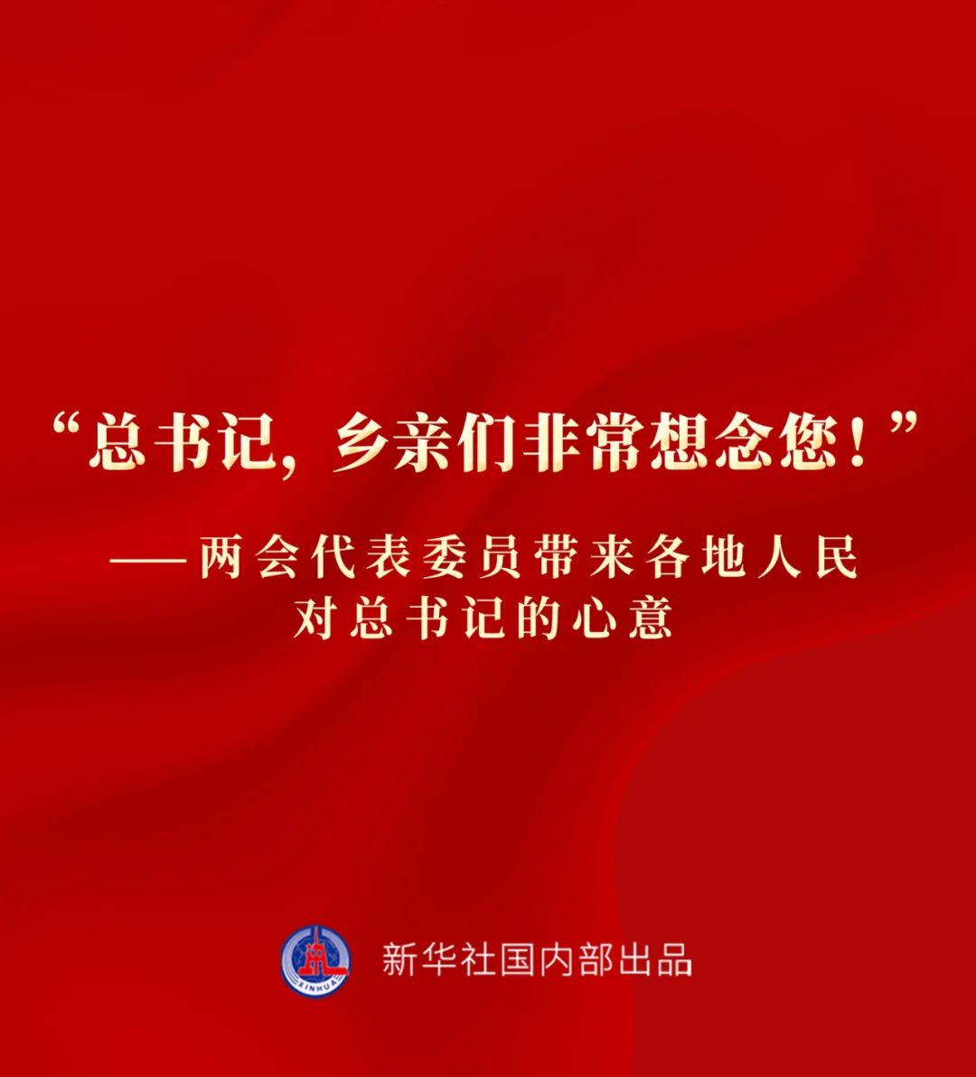 “总书记，乡亲们非常想念您！”——两会代表委员带来各地人民对总书记的心意-镇江乐电半导体科技有限公司