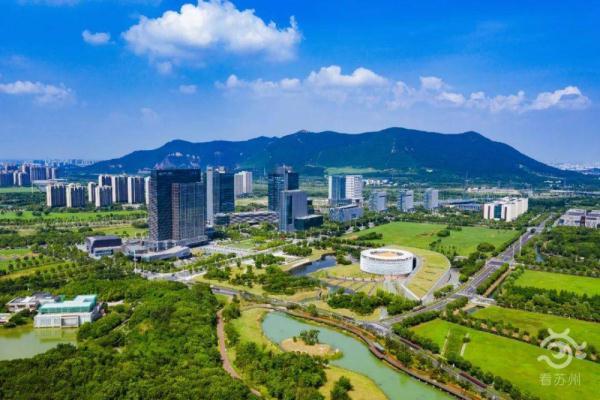 “植”此青绿，苏州这样为树“让路”-北京中和润物股权投资基金管理有限公司