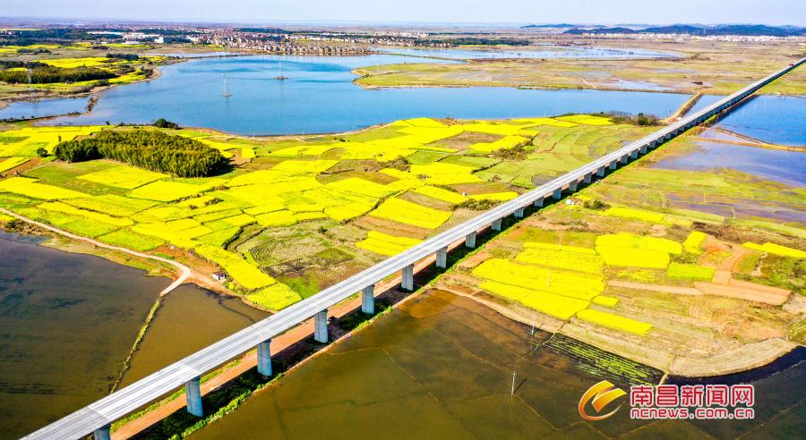 【推荐】公积金实现异地贷款大南昌都市圈打造民生幸福圈上饶公基金