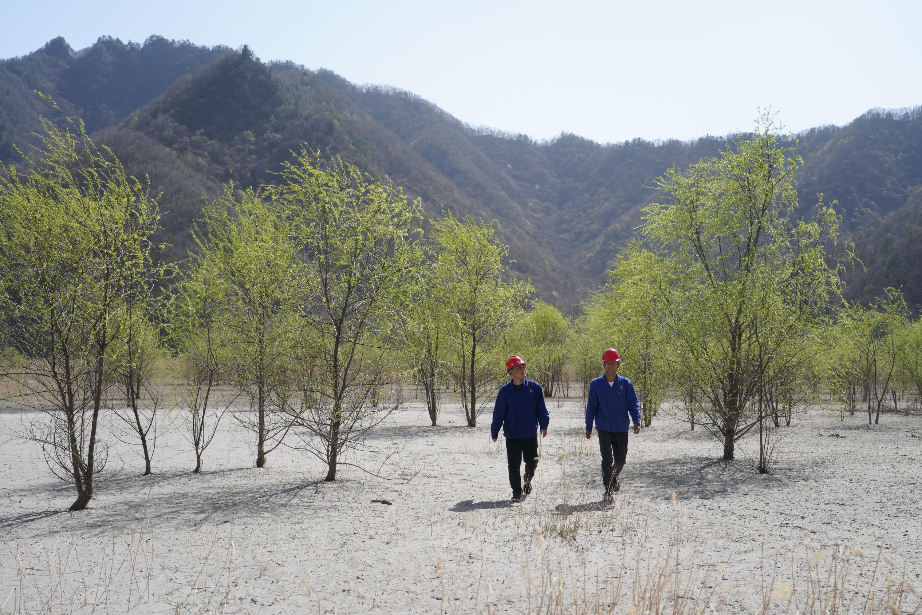 （环境）陕西华州：“中国钼都”的矿山绿色蝶变-金堆城钼业公司具体