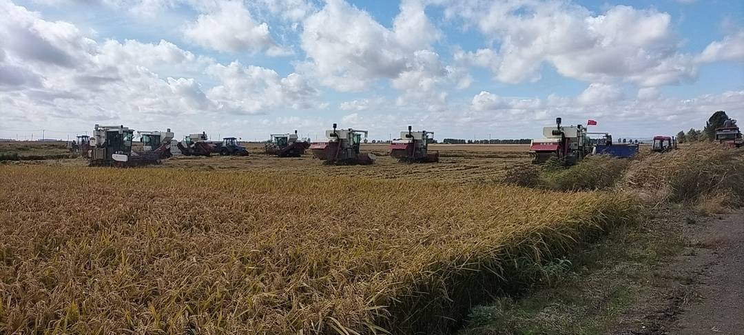 「大国粮仓」国家级农业产业强镇奏响高质量农业发展强音-上海双盈国际贸易有限公司