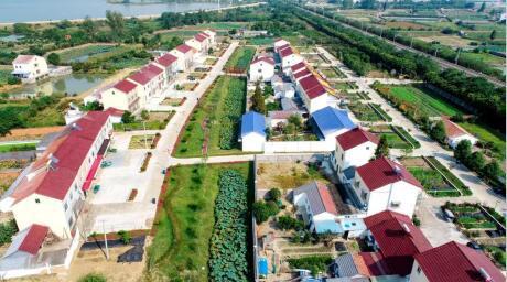 「荆彩这五年」扬帆筑梦绘蓝图沙市区奋力冲刺全国百强城区-神州泰岳良品电子商务有限公司