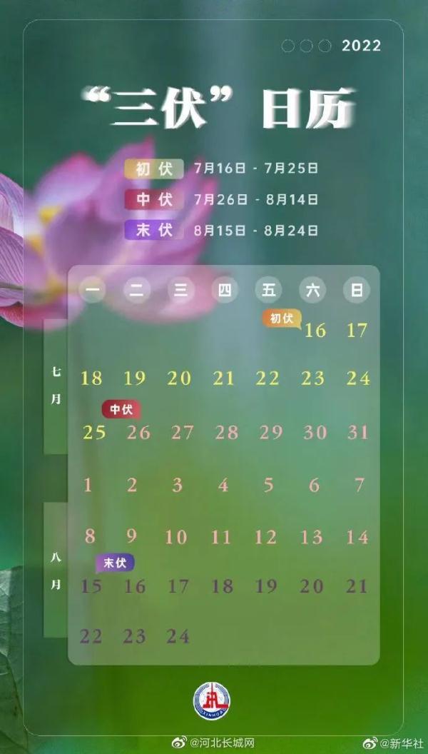 【推荐】入伏倒计时！又是40天……-合肥财籽控股有限公司