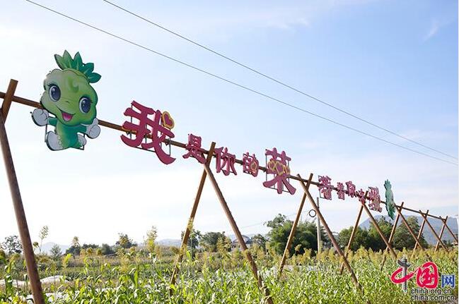 「发现最美你评我论」库安、水清、景美、民富三峡库区交出令人满意的“生态答卷”-三峡库区基金