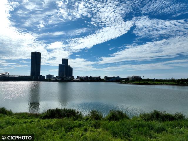 滨海是哪个省的城市滨海市滨海市政府决定上马一项园林绿化工程