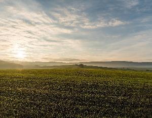 “二代掌门人”接棒，史丹利勇闯营收五年百亿目标-史丹利高塔肥每亩用量是多少