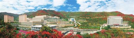 「奋进新征程建功新时代我们这十年」提级转型，奏响高质量发展“最强音”——“我们这十年·陇南”系列报道③-甘肃陇南紫金矿业有限公司