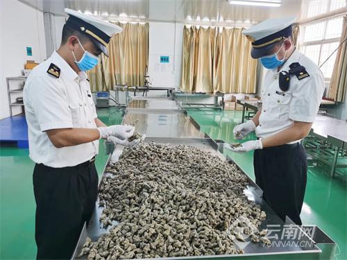 让“有色金属王国”更“出色”-铜精矿中银子达到多少计价