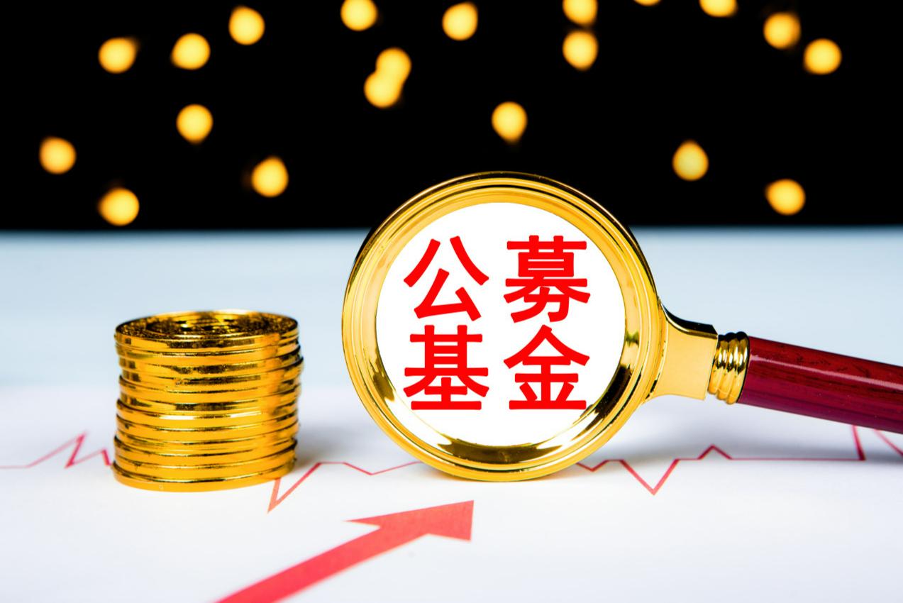 千亿“爆款专业户”首迎总经理变更，创始人陈光明将专注投研，副总饶刚接任-基金经理饶刚