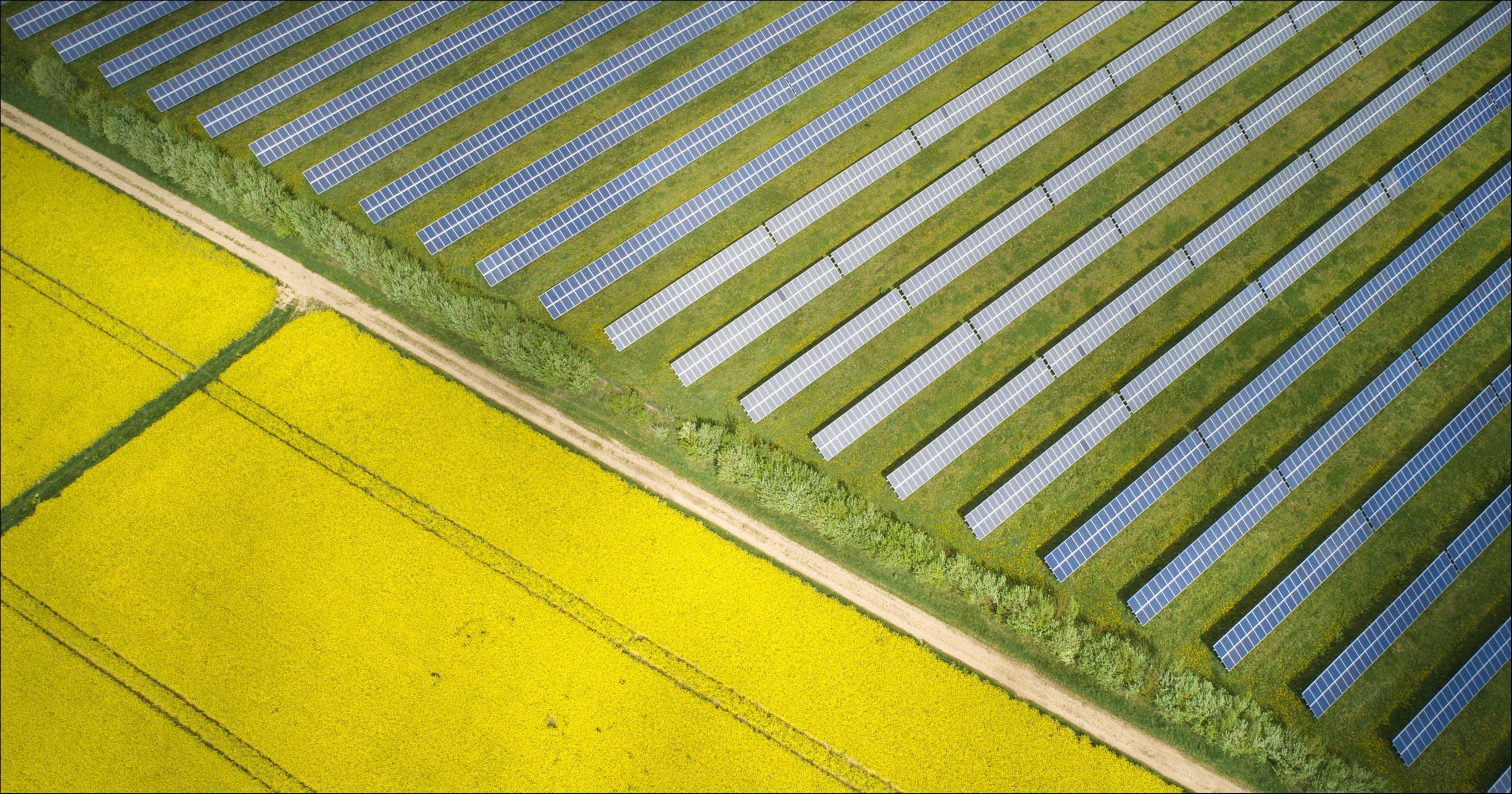 【资本市场农业板块周报】原料奶价格下行，新乳业大涨18.21%；畜禽价格走低，生猪养殖板块大跌；蔬菜均价跌超5%-养殖资讯股票