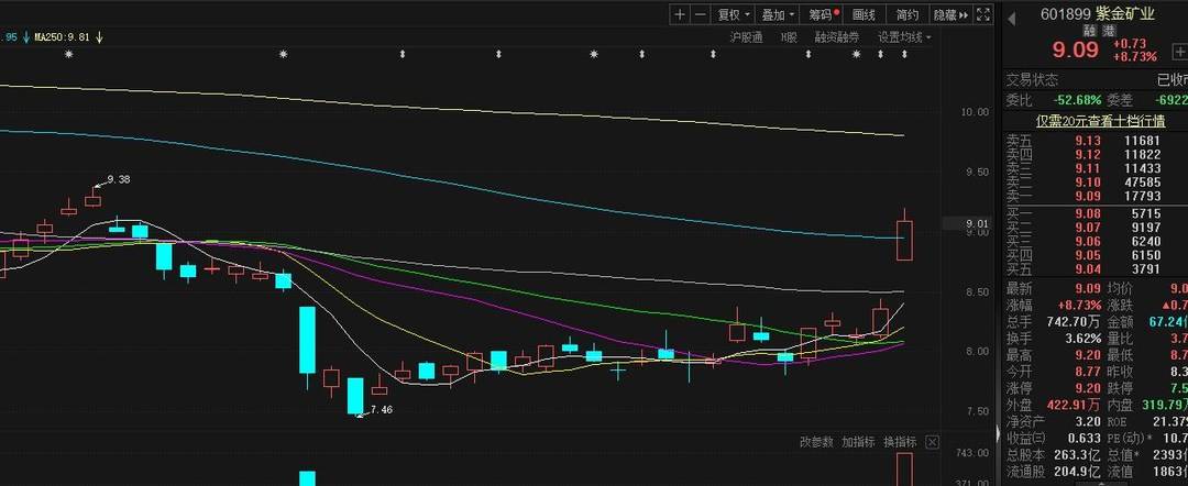 【推荐】再投40亿元买金矿紫金矿业股价一度涨停社保基金103组合