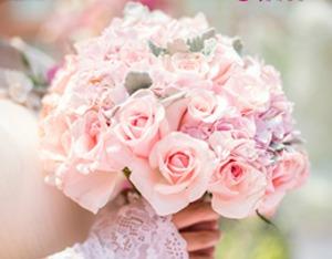 “杭州喜铺”婚庆公司“失联”始末：营收2000万元的公司是怎么崩盘的-婚庆公司年利润