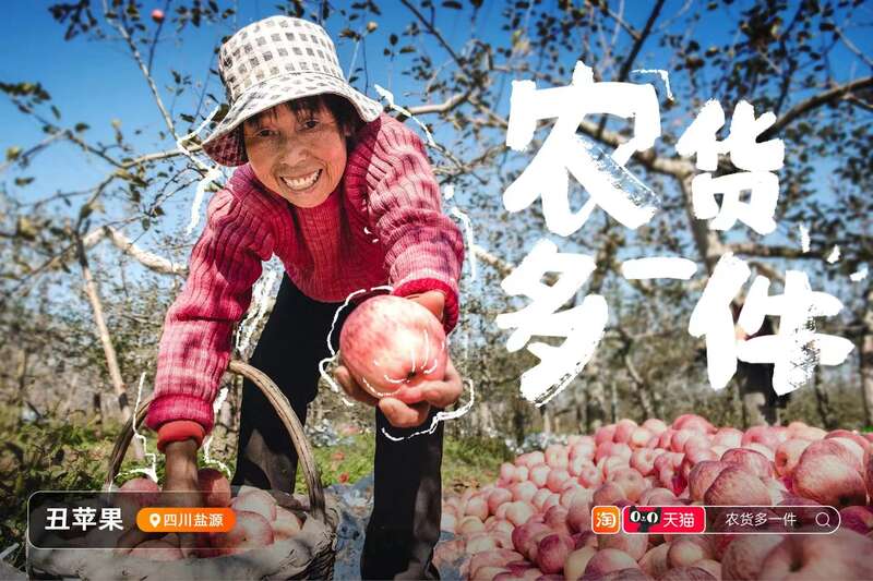 《2022天猫双11社会价值报告》发布00后创业商家近100万-一个双十一阿里巴巴赚多少钱