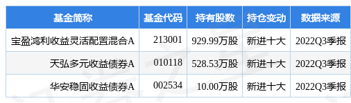11月23日林洋能源涨5.57%，宝盈鸿利收益灵活配置混合A基金重仓该股-宝盈鸿利基金